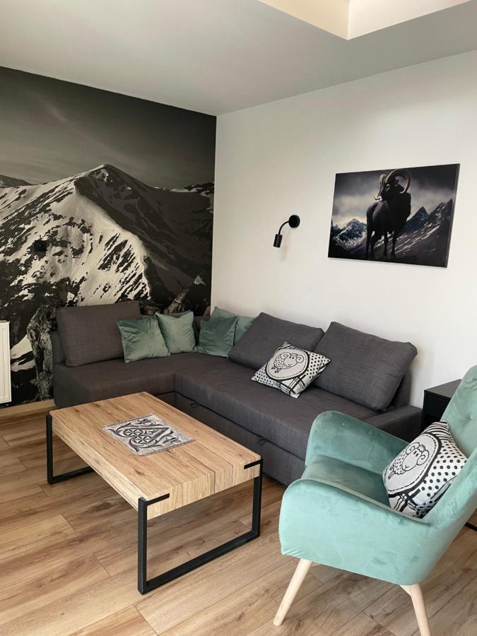 Czarny Baran Lägenhet Zakopane Exteriör bild